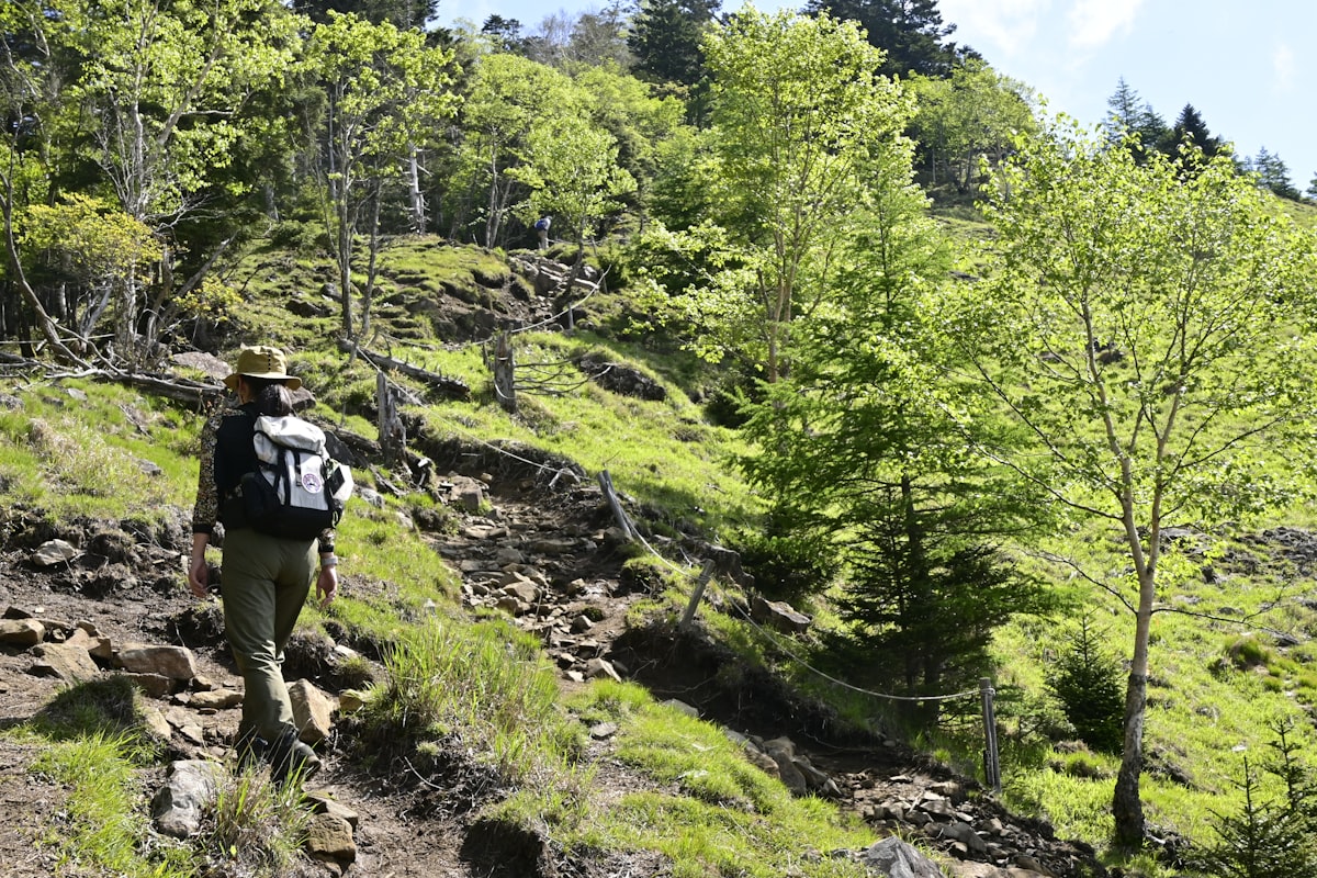 Visual Identity for Outdoor Brands: Beyond the Logo